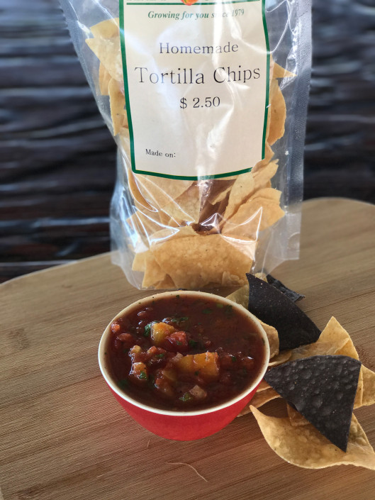 Bag of homemade tortilla chips and fresh bowl of salsa