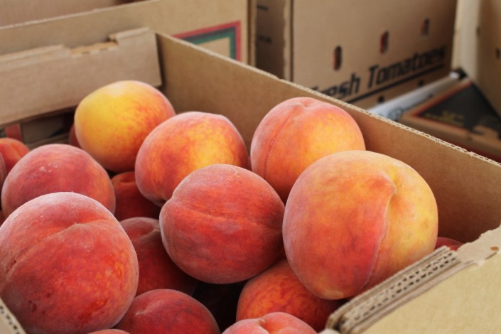 Box of fresh picked peaches